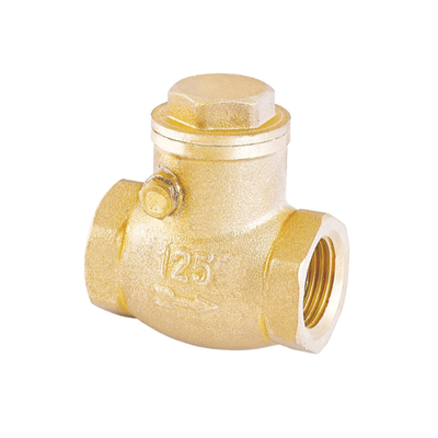 Nicht rostendes  Rückholventil des Weisen-Wasser-Rückschlagventil-32mm 22mm nicht